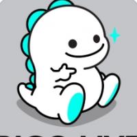 bigo账号购买出售批发24H自动发货1组10个安全耐用